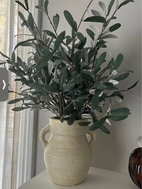 Threshold Olive Tree in Pot